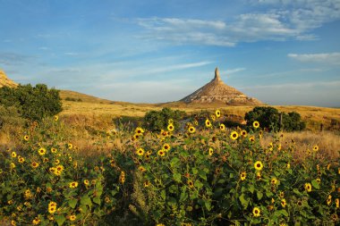 Chimney Rock National Historic Site with sunflowers, western Nebraska, USA. The peak of Chimney Rock is 1289 meters above sea level. clipart