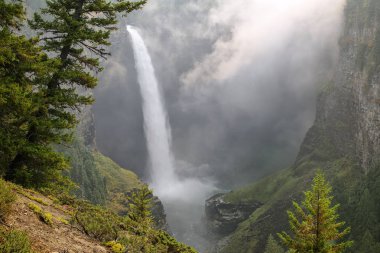 Helmcken Falls ve sis, Wells Gray Provincial Park, British Columbia, Kanada. British Columbia 'nın dördüncü büyük parkıdır..