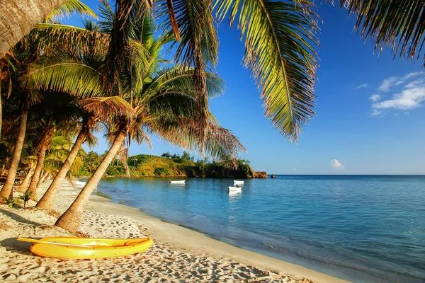 Kayak Mer Sur Plage Près Des Palmiers Île Nacula Yasawas — Photo