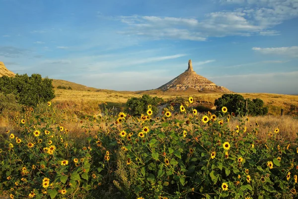 Baca Rock National Historic Site ayçiçeği, Batı Nebraska, ABD ile. Baca Rock tepe deniz seviyesinden 1289 metredir.