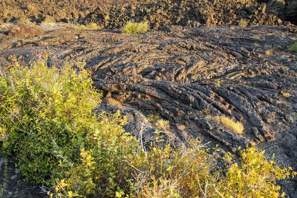 Lava Flöde Fält Norra Kratern Flow Trail Kratrarna Månen National — Stockfoto