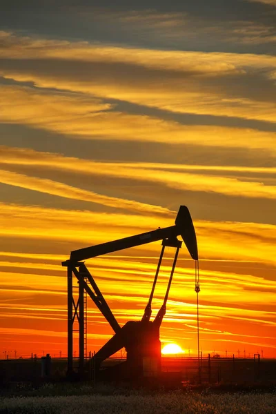 Prise Pompe Silhouettée Dans Champ Pétrolifère Coucher Soleil — Photo