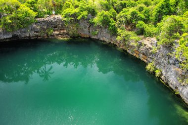 Ouvea Island, sadakat Adaları, Yeni Kaledonya kuzeyinde kaplumbağalar delik. Bu delik undeground denize bağlı.