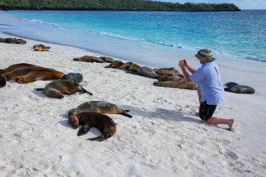 Galapagos Espanola Adası Galapagos Milli Parkı, Ekvador Gardner Koyu'ndaki deniz aslanları izlerken turist. Bu deniz aslanları sadece Galapagos içinde doğurmak.