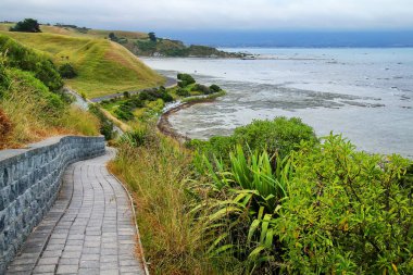 Kaikoura Peninsula Walkway, South Island, New Zealand. The area is a popular ecotourism destination clipart