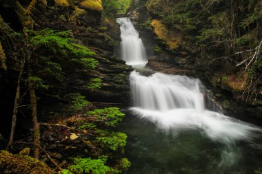 Wells Gray Provincial Park 'taki Sticta Falls, British Columbia, Kanada. British Columbia 'nın dördüncü büyük parkıdır..