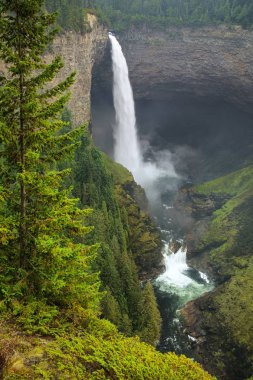 Wells Gray İl Parkı 'ndaki Murtle River' daki Helmcken Şelalesi, British Columbia, Kanada. British Columbia 'nın dördüncü büyük parkıdır..