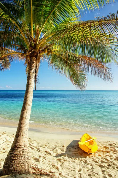 フィジーのヤサワ島ナキュラ島のヤシの木の近くのビーチでのシーカヤック — ストック写真