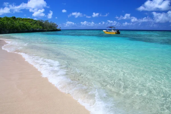 Zandstrand Gee Island Ouvea Lagoon Loyaliteitseilanden Nieuw Caledonië Lagune Aangeboden — Stockfoto