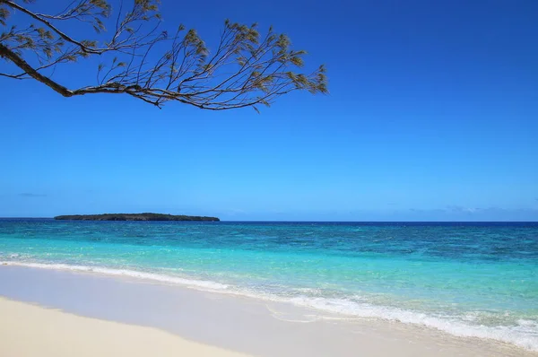 Praia Areia Ilha Gee Lagoa Ouvea Ilhas Lealdade Nova Caledônia — Fotografia de Stock