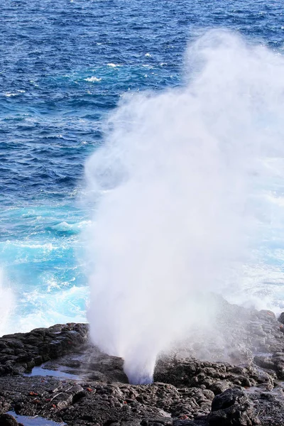 Water bursts through blowhole on the coast of Espanola Island, Galapagos National park, Ecuador.
