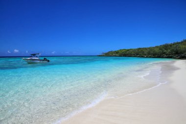 Sandy beach at Gee island in Ouvea lagoon, Loyalty Islands, New  clipart