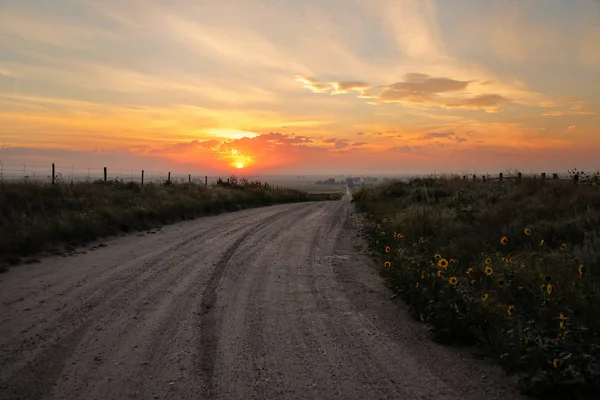 Dirt road at sunrise, North Platte River valley, western Nebrask