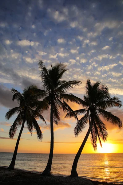 Pôr do sol sobre a lagoa Ouvea na Ilha Ouvea, Ilhas da Fidelidade, Nova C — Fotografia de Stock