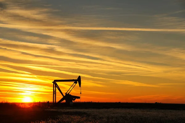 Pumpjack az olajmező naplementekor — Stock Fotó