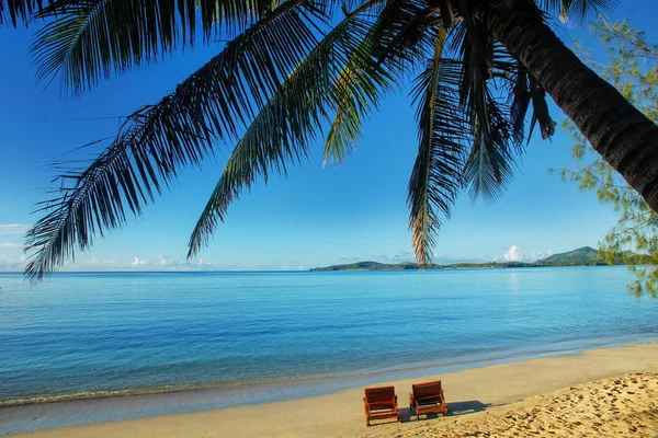 Zwei Liegestühle an einem tropischen Strand — Stockfoto