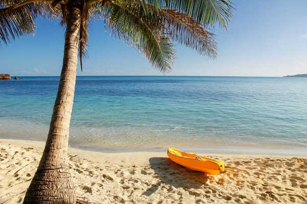 棕榈树附近海滩上的海上皮划艇 — 图库照片