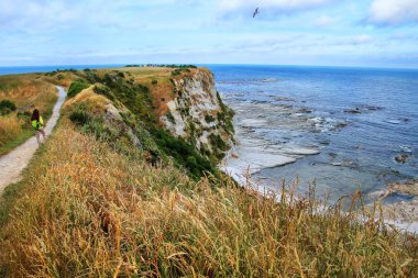 Kaikoura Yarımadası kıyı şeridi, Güney Adası, Yeni Zelanda.