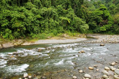 Bahorok Nehri, Kuzey Sumatra'da Bukit Lawang yakınlarında, Endonezya.