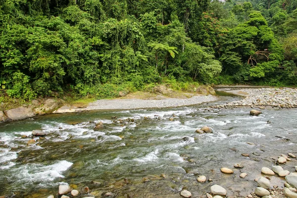 Rivière Bahorok près de Bukit Lawang dans le nord de Sumatra, Indonésie . — Photo