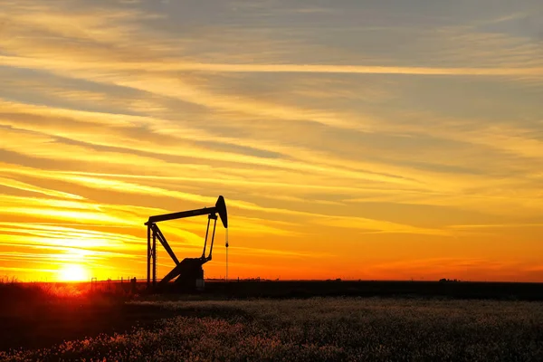 Prise de pompe dans le champ pétrolifère au coucher du soleil — Photo