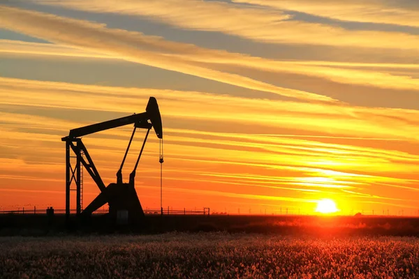 Jack bomba en el campo petrolífero al atardecer — Foto de Stock