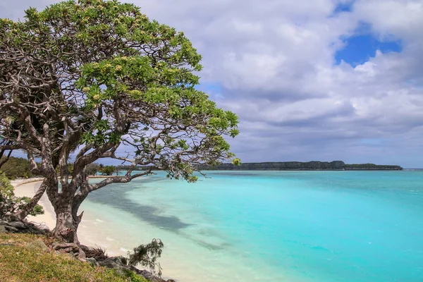 Lekiny Bay sull'isola di Ouvea, Nuova Caledonia . — Foto Stock