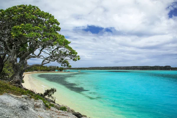 Lekiny bay auf ouvea island, neukaledonien. — Stockfoto