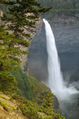 Wells Gray İl Parkı 'ndaki Murtle River' daki Helmcken Şelalesi, British Columbia, Kanada. British Columbia 'nın dördüncü büyük parkıdır..
