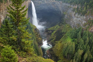 Wells Gray İl Parkı 'ndaki Murtle River' daki Helmcken Şelalesi, British Columbia, Kanada. British Columbia 'nın dördüncü büyük parkıdır..