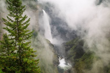 Helmcken Falls ve sis, Wells Gray Provincial Park, British Columbia, Kanada. British Columbia 'nın dördüncü büyük parkıdır..