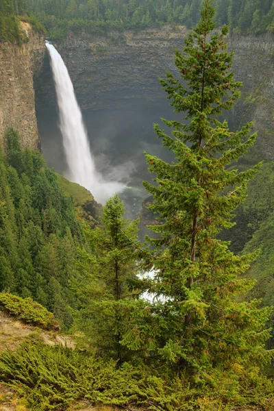 Helmcken Falls Murtle River Wells Gray Provincial Park British Columbia — Stockfoto