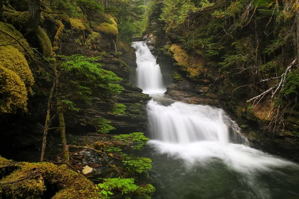 位于加拿大不列颠哥伦比亚省威尔斯格雷省公园的Sticta Falls 它是不列颠哥伦比亚省第四大公园 — 图库照片