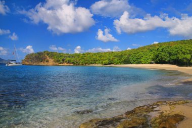 Carriacou Adası, Grenada 'daki Anse La Roche Plajı. Carriacou, Grenadine 'deki en büyük adadır..