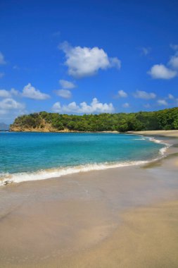Carriacou Adası, Grenada 'daki Anse La Roche Plajı. Carriacou, Grenadine 'deki en büyük adadır..
