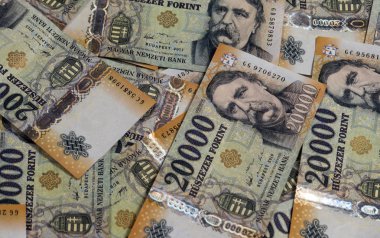 Fatura banknot illüstrasyonunu düzenle