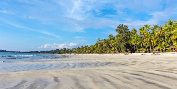 Ngapali Myanmar January 2017 Sandy Beach Ngapali Its Palm Tree — Stock Photo, Image