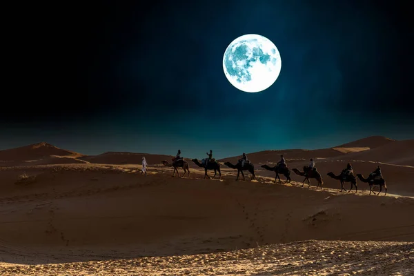 Camels Night Sahara Desert Merzouga Village — Stock Photo, Image