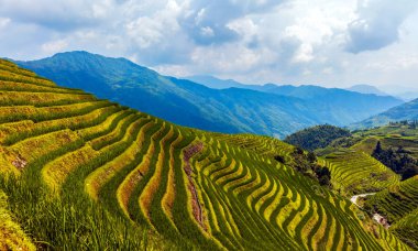 Longsheng (Longji) Rice Terrace, Çin