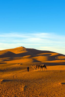Merzouga, Fas - 29 Aralık 2017: Merzouga köyü yakınlarındaki Sahra Çölü 'nde deve kervanı.