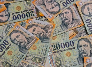  Fatura banknot illüstrasyonunu düzenle                              