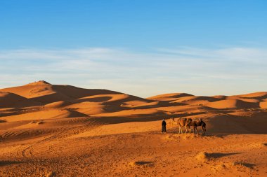 Merzouga, Fas - 29 Aralık 2017: Merzouga köyü yakınlarındaki Sahra Çölü 'nde deve kervanı.