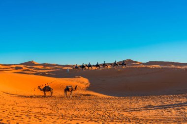 Merzouga köyü yakınlarındaki Sahra Çölü..