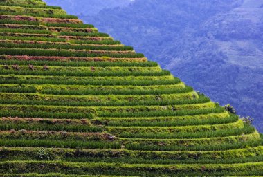 Guangxi, Çin 'deki Yaoshan Dağı' nda Longji Rice terasları. 