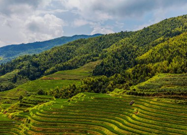 Longji pirinç terasları, Çin