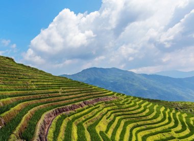 Guangxi, Çin 'deki Yaoshan Dağı' nda Longji Rice terasları. 