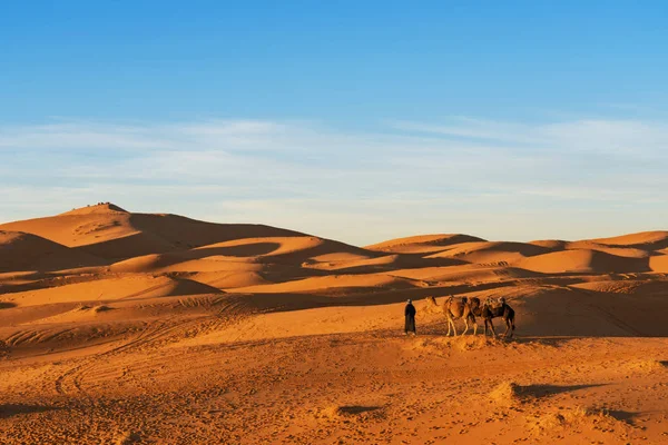 Merzouga Marruecos Diciembre 2017 Caravana Camello Desierto Del Sahara Cerca — Foto de Stock