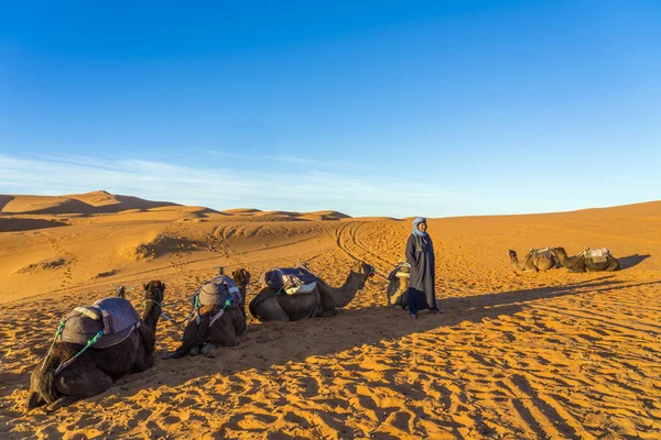 Merzouga Morocco Грудня 2017 Караван Верблюдів Пустелі Сахара Поблизу Села — стокове фото