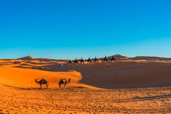 Пустеля Сахара Біля Села Мерзуґа — стокове фото