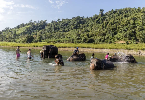 Ngapali Myanmar Junio 2017 Mahout Bañando Elefante Maderero Rescatado Río —  Fotos de Stock